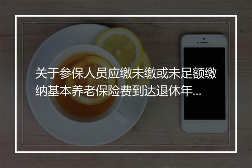 关于参保人员应缴未缴或未足额缴纳基本养老保险费到达退休年龄时有关问题的通知