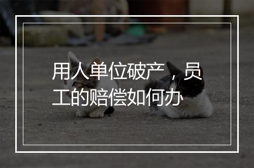 用人单位破产，员工的赔偿如何办