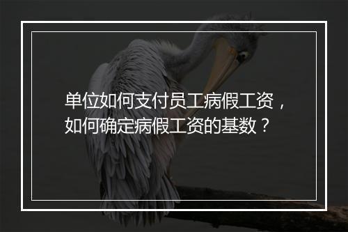 单位如何支付员工病假工资，如何确定病假工资的基数？