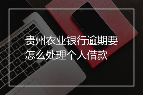 贵州农业银行逾期要怎么处理个人借款