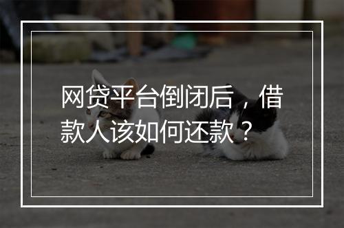 网贷平台倒闭后，借款人该如何还款？