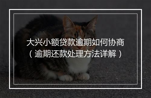 大兴小额贷款逾期如何协商（逾期还款处理方法详解）
