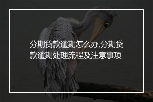 分期贷款逾期怎么办,分期贷款逾期处理流程及注意事项