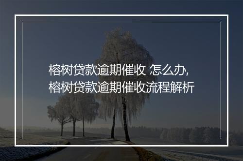 榕树贷款逾期催收 怎么办,榕树贷款逾期催收流程解析