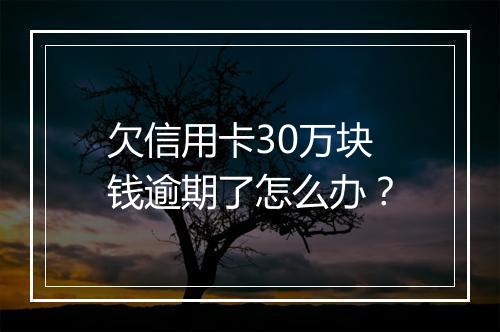 欠信用卡30万块钱逾期了怎么办？