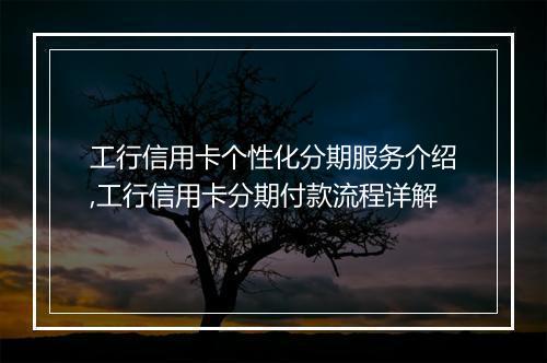工行信用卡个性化分期服务介绍,工行信用卡分期付款流程详解