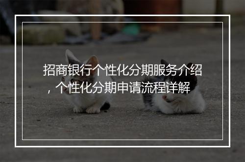 招商银行个性化分期服务介绍，个性化分期申请流程详解