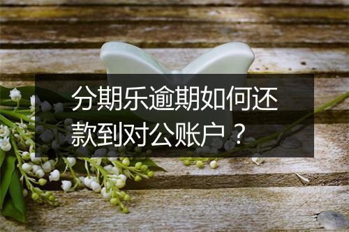 分期乐逾期如何还款到对公账户？