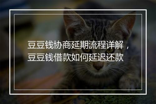 豆豆钱协商延期流程详解，豆豆钱借款如何延迟还款