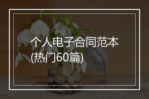 个人电子合同范本(热门60篇)