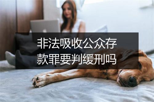 非法吸收公众存款罪要判缓刑吗