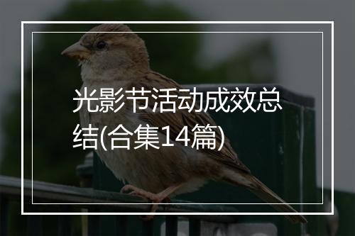 光影节活动成效总结(合集14篇)