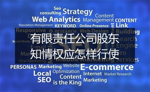 有限责任公司股东知情权应怎样行使