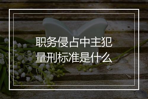职务侵占中主犯量刑标准是什么