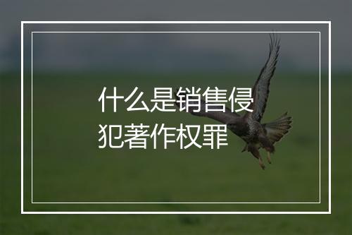 什么是销售侵犯著作权罪