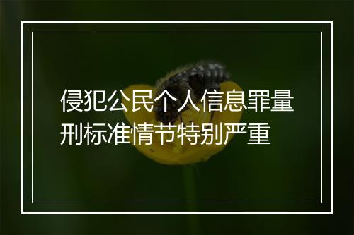 侵犯公民个人信息罪量刑标准情节特别严重