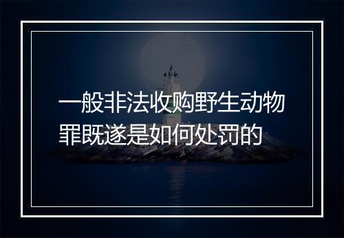 一般非法收购野生动物罪既遂是如何处罚的