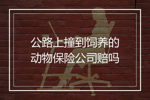 公路上撞到饲养的动物保险公司赔吗