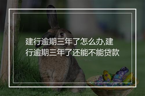 建行逾期三年了怎么办,建行逾期三年了还能不能贷款