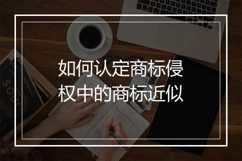 如何认定商标侵权中的商标近似