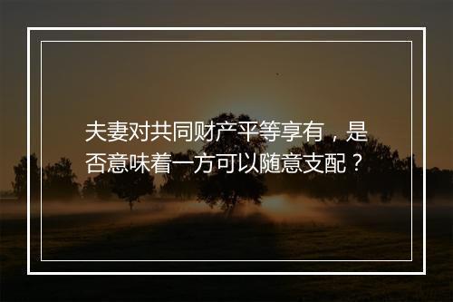 夫妻对共同财产平等享有，是否意味着一方可以随意支配？
