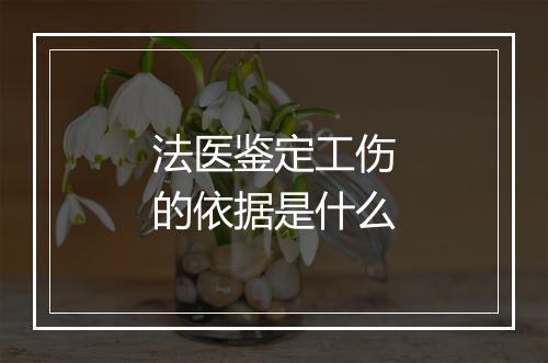 法医鉴定工伤的依据是什么