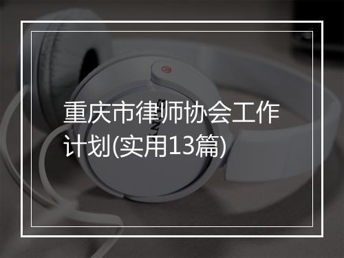 重庆市律师协会工作计划(实用13篇)