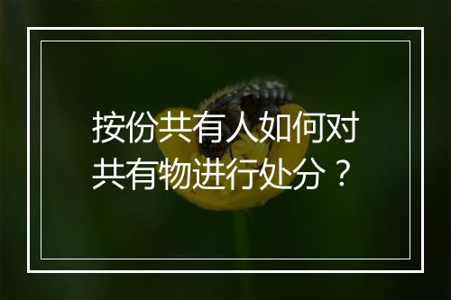 按份共有人如何对共有物进行处分？
