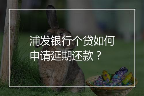 浦发银行个贷如何申请延期还款？