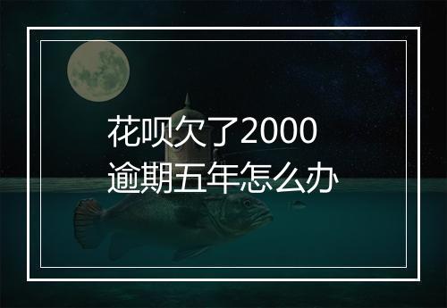 花呗欠了2000逾期五年怎么办