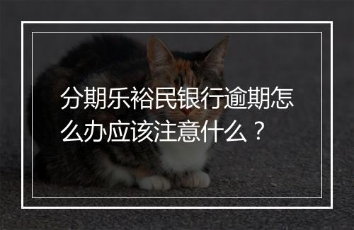 分期乐裕民银行逾期怎么办应该注意什么？
