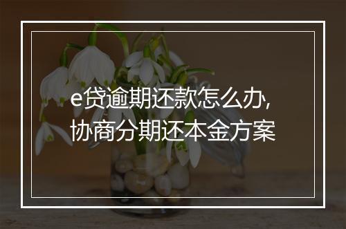e贷逾期还款怎么办,协商分期还本金方案