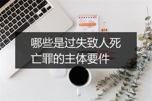 哪些是过失致人死亡罪的主体要件