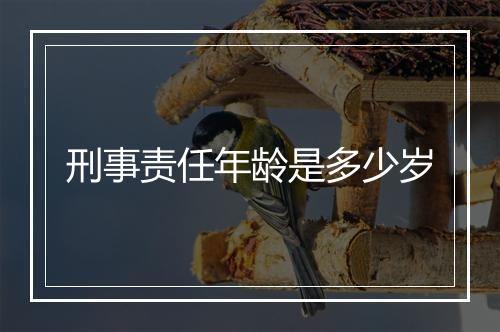 刑事责任年龄是多少岁