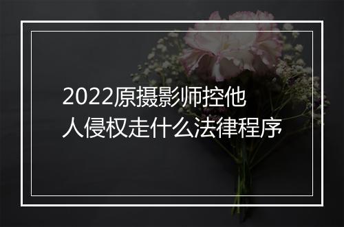 2022原摄影师控他人侵权走什么法律程序