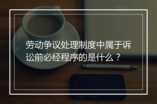 劳动争议处理制度中属于诉讼前必经程序的是什么？