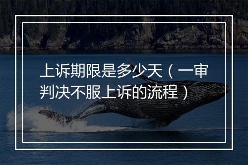 上诉期限是多少天（一审判决不服上诉的流程）