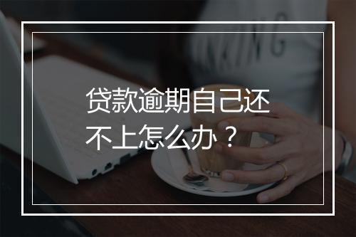 贷款逾期自己还不上怎么办？