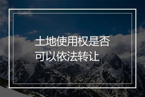 土地使用权是否可以依法转让