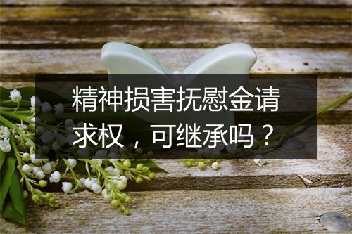 精神损害抚慰金请求权，可继承吗？