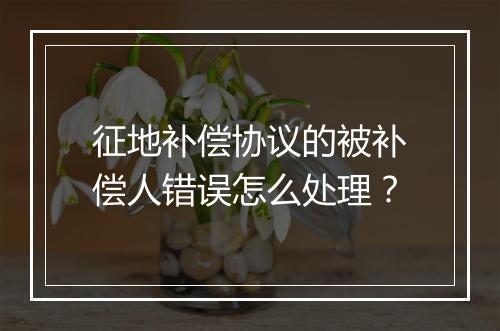 征地补偿协议的被补偿人错误怎么处理？
