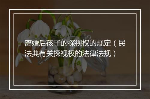 离婚后孩子的探视权的规定（民法典有关探视权的法律法规）