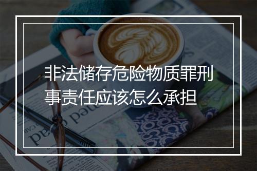 非法储存危险物质罪刑事责任应该怎么承担