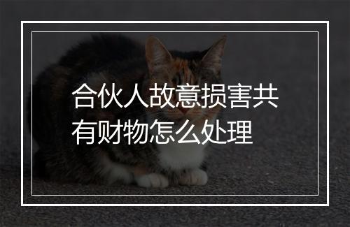 合伙人故意损害共有财物怎么处理