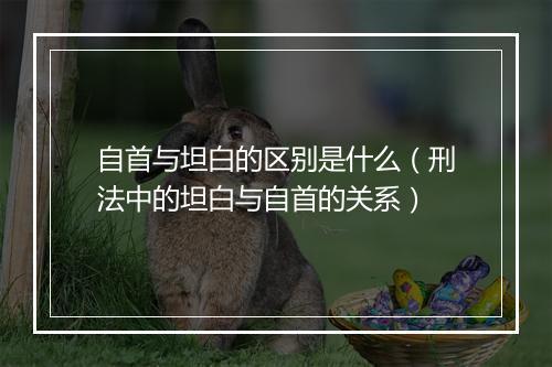 自首与坦白的区别是什么（刑法中的坦白与自首的关系）