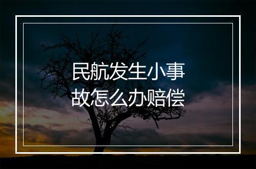 民航发生小事故怎么办赔偿