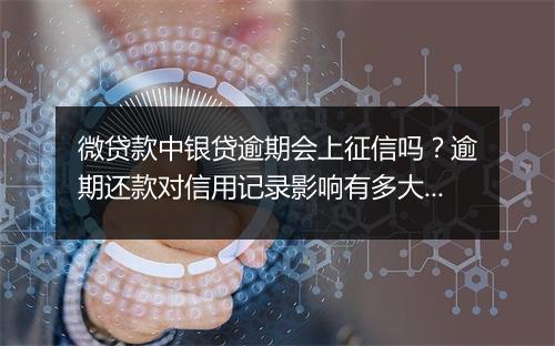 微贷款中银贷逾期会上征信吗？逾期还款对信用记录影响有多大？