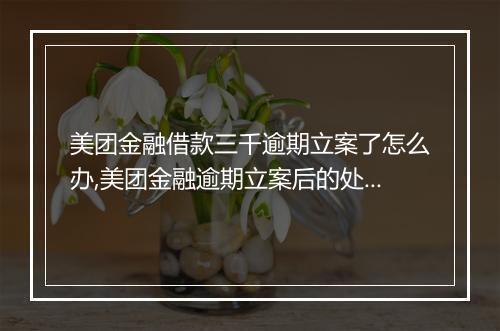 美团金融借款三千逾期立案了怎么办,美团金融逾期立案后的处理流程
