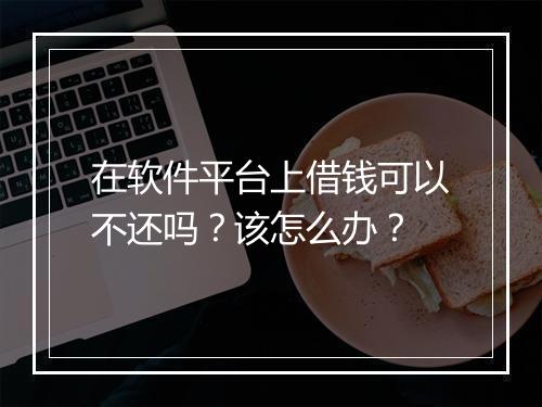 在软件平台上借钱可以不还吗？该怎么办？