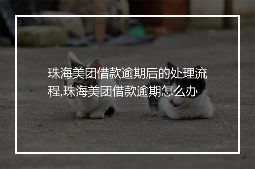 珠海美团借款逾期后的处理流程,珠海美团借款逾期怎么办